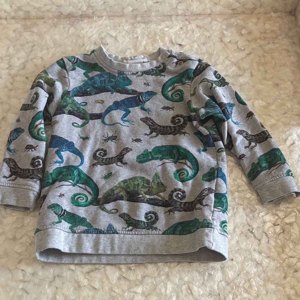 H&M Gray Sweatshirt with Colorful Chameleon Print